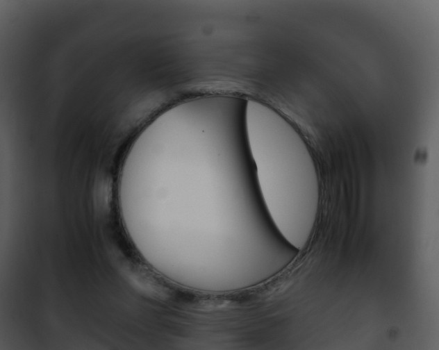 X0000101990206200807180832