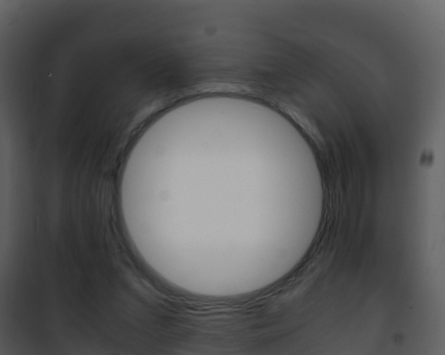 X0000101990207200807180832