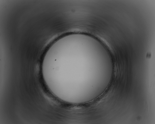 X0000101990208200807180832