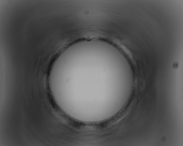 X0000101990209200807180832