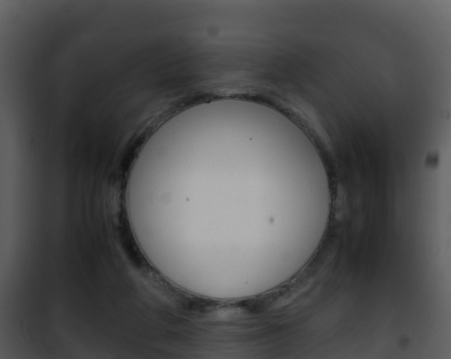X0000101990210200807180832
