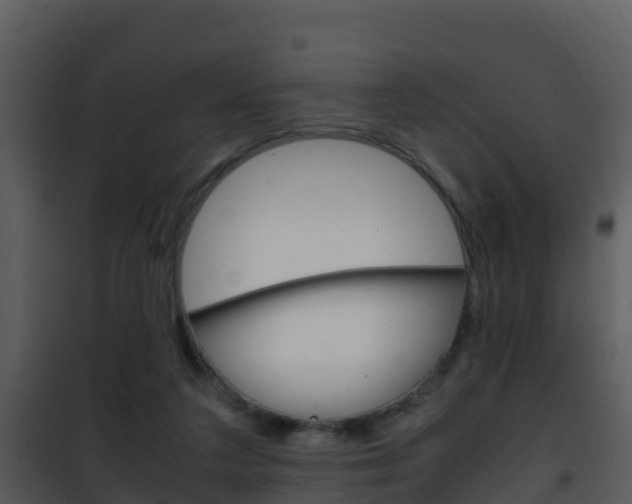 X0000101990211200807180832
