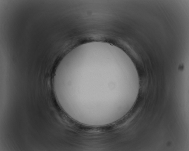 X0000101990213200807180832