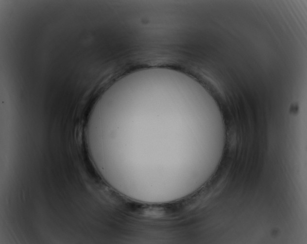 X0000101990214200807180832