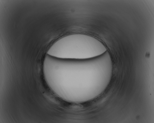 X0000101990215200807180832