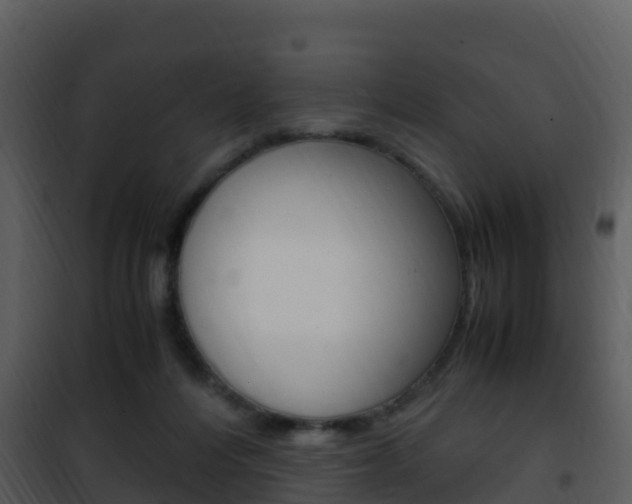 X0000101990216200807180832
