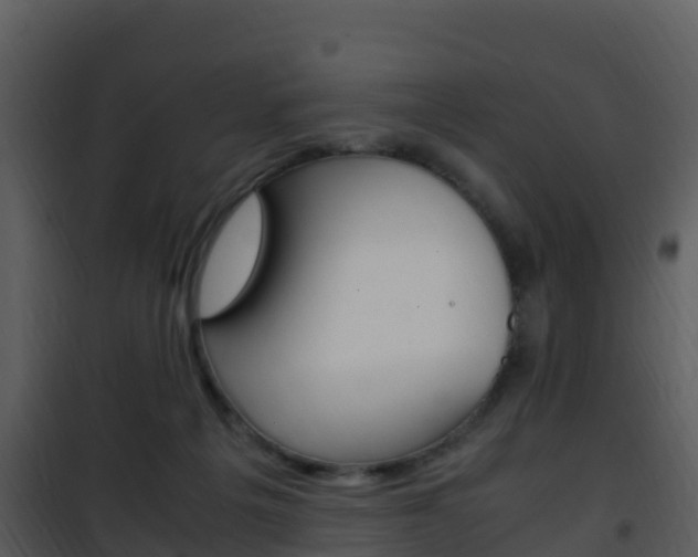 X0000101990217200807180832