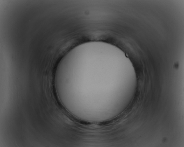 X0000101990219200807180832