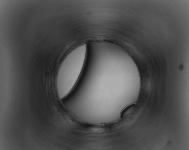 X0000101990220200807180832