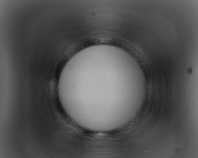 X0000101990222200807180832