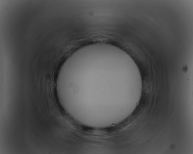 X0000101990223200807180832