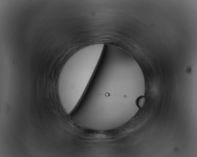 X0000101990224200807180832