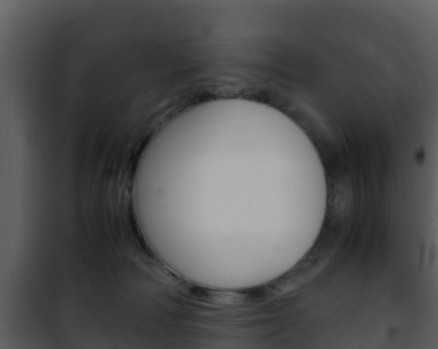 X0000101990226200807180832
