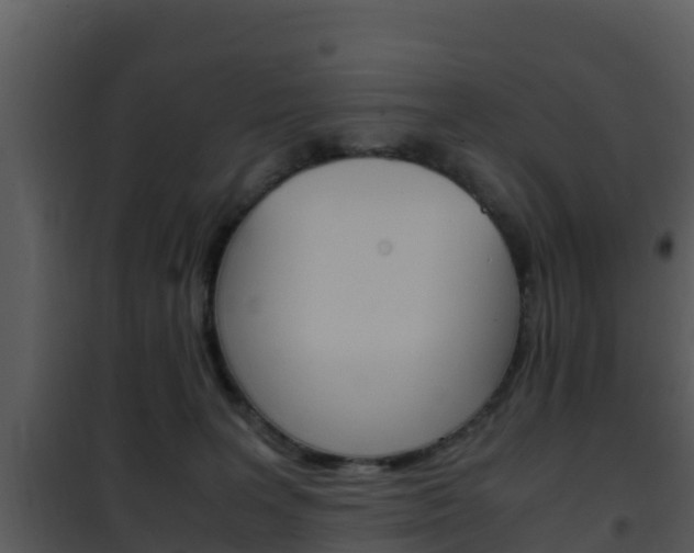 X0000101990227200807180832