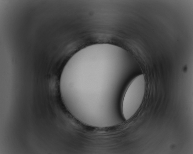 X0000101990228200807180832