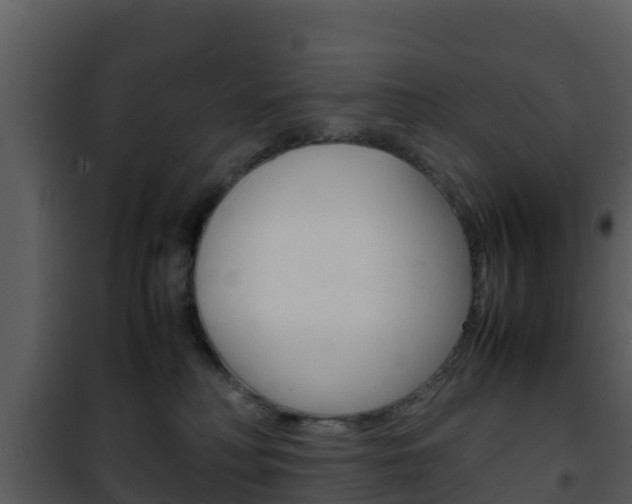 X0000101990230200807180832