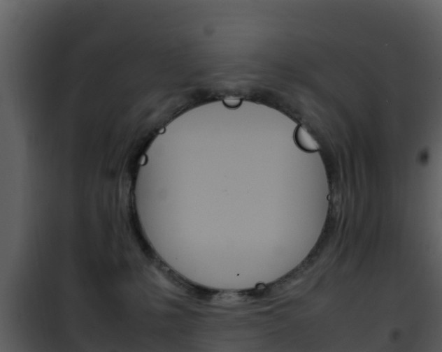 X0000101990231200807180832