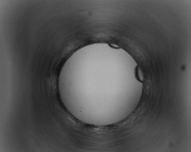 X0000101990232200807180832