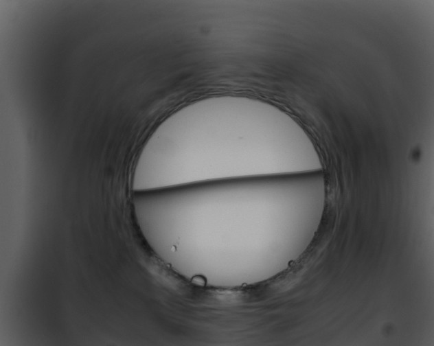 X0000101990233200807180832