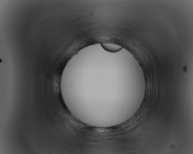 X0000101990234200807180832
