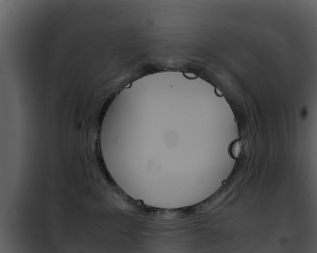 X0000101990235200807180832