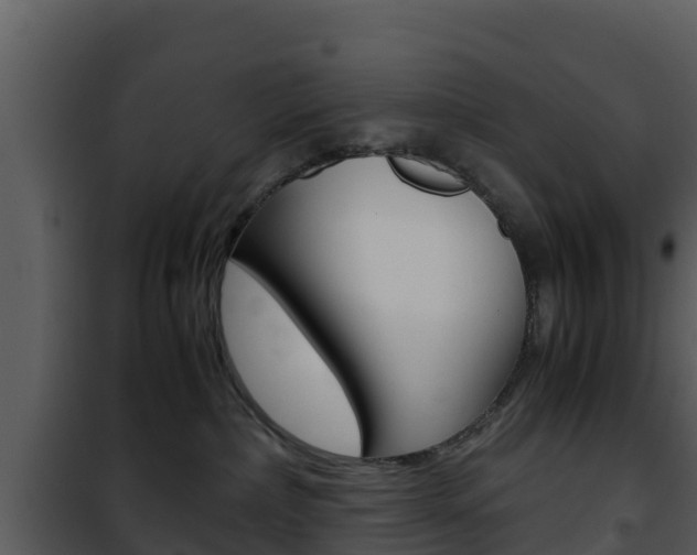 X0000101990236200807180832