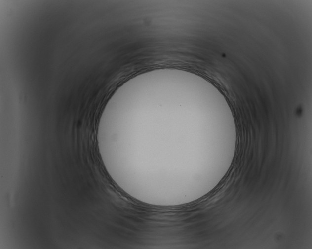 X0000101990237200807180832