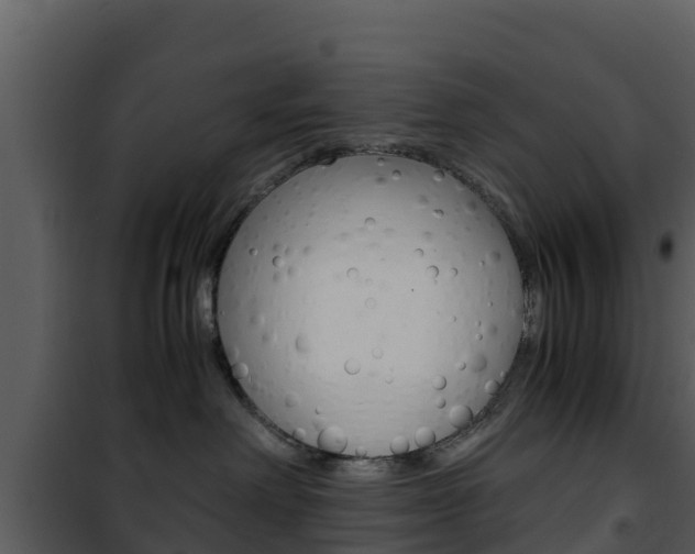 X0000101990238200807180832