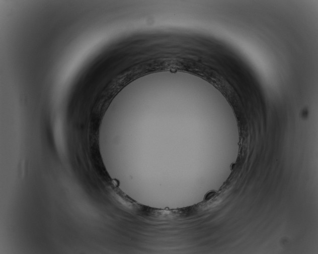X0000101990239200807180832