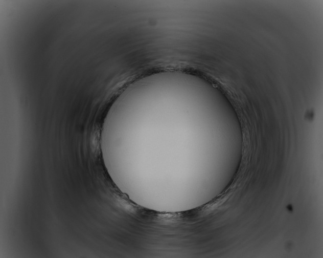 X0000101990240200807180832
