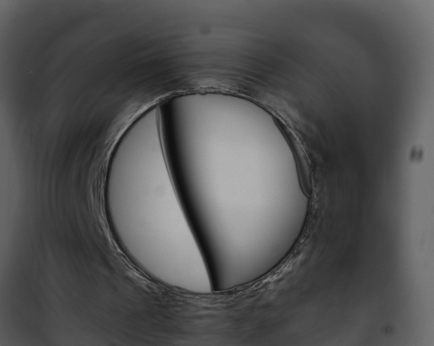 X0000101990241200807180831