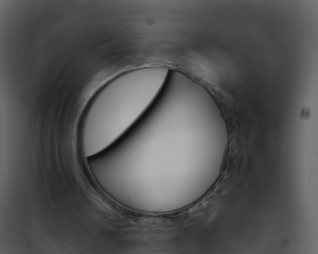X0000101990242200807180831