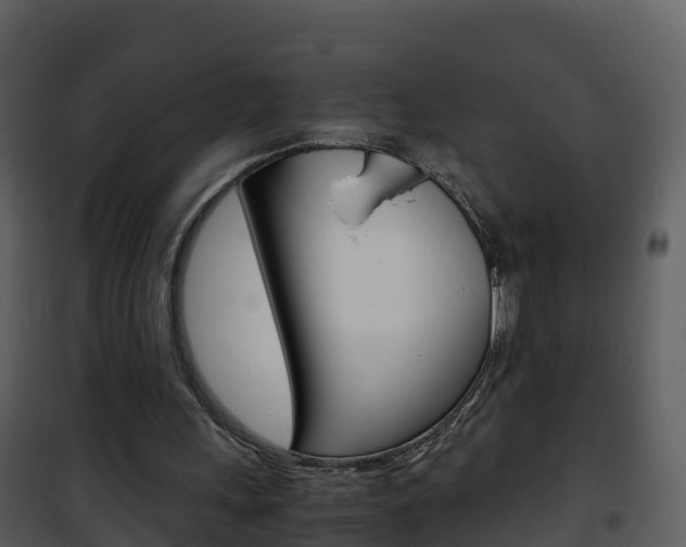 X0000101990243200807180831