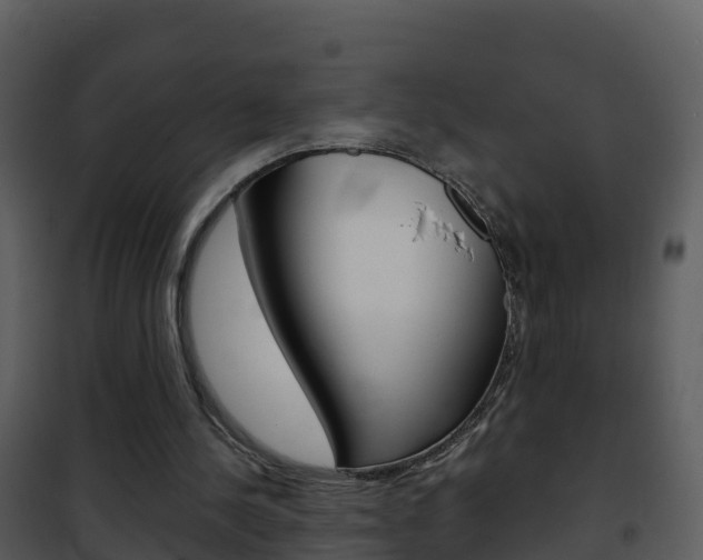 X0000101990244200807180831