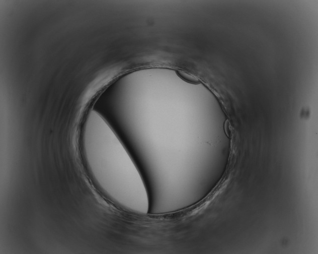 X0000101990245200807180831
