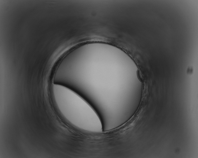 X0000101990247200807180831