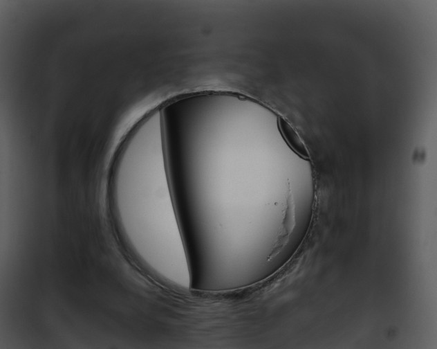 X0000101990248200807180831