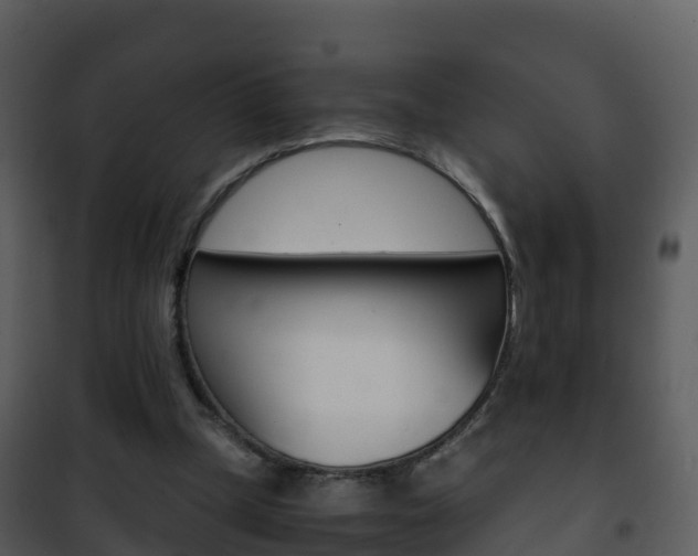 X0000101990249200807180831