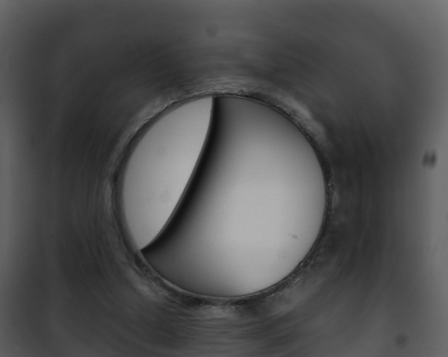 X0000101990250200807180831
