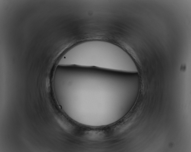 X0000101990251200807180831
