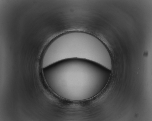 X0000101990252200807180831