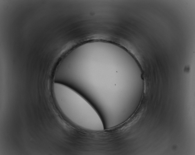 X0000101990253200807180831