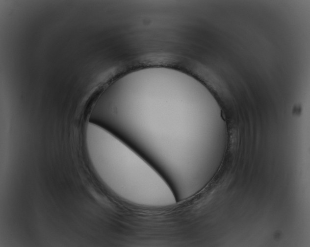 X0000101990254200807180831