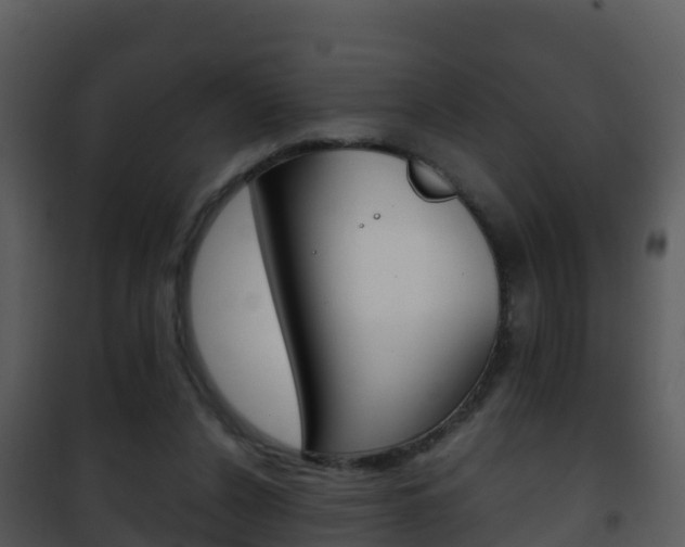 X0000101990256200807180831