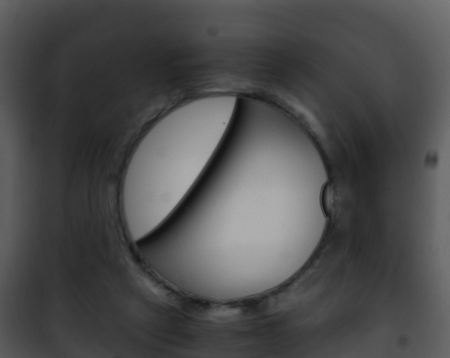 X0000101990257200807180831
