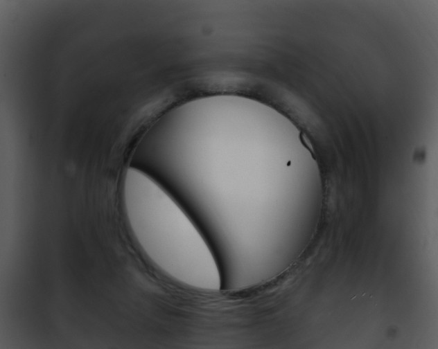 X0000101990258200807180831