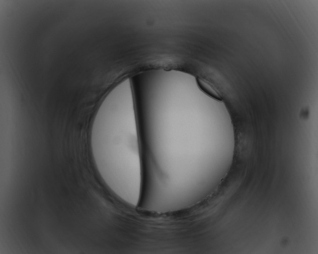 X0000101990259200807180831