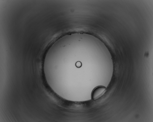 X0000101990260200807180831