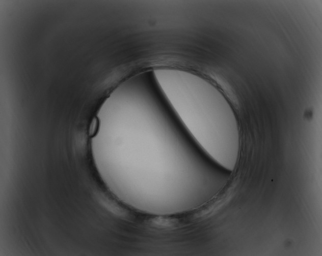 X0000101990261200807180831