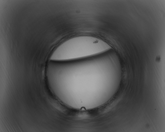 X0000101990262200807180831